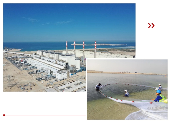 Z6·尊龙凯时「中国区」官方网站