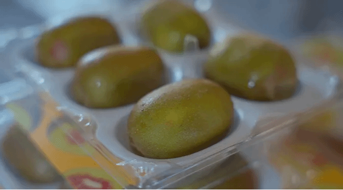 Z6·尊龙凯时「中国区」官方网站