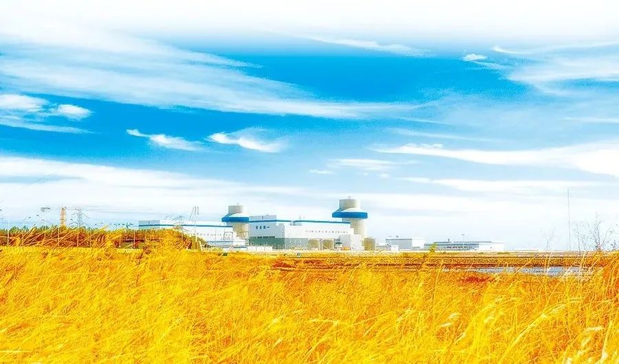 864219158490FB49F5E7DA638A8_13731341_1576F.jpg?e=